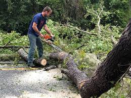 Best Firewood Processing and Delivery  in Tolar, TX